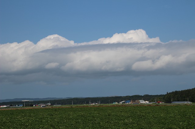 ファイル 115-9.jpg