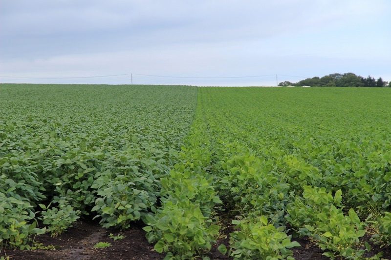 ファイル 116-7.jpg