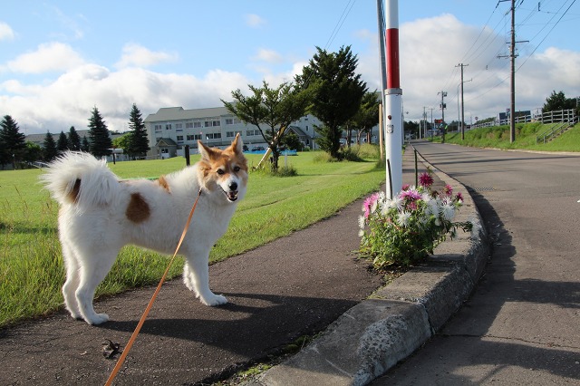 ファイル 117-1.jpg