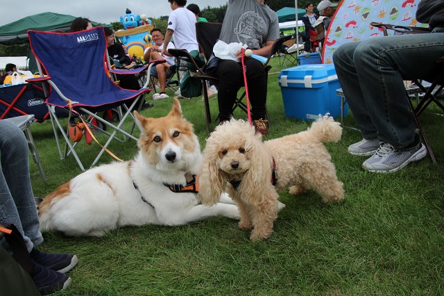 ファイル 117-7.jpg