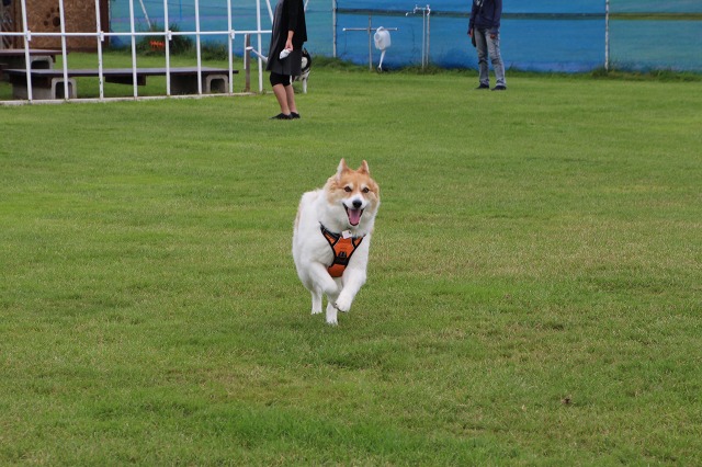 ファイル 117-8.jpg