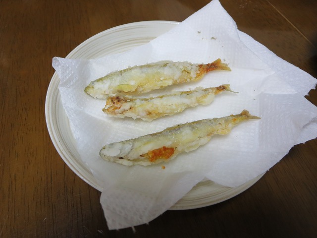 ファイル 12-4.jpg