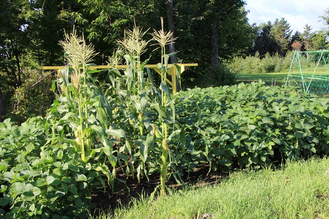 ファイル 121-6.jpg