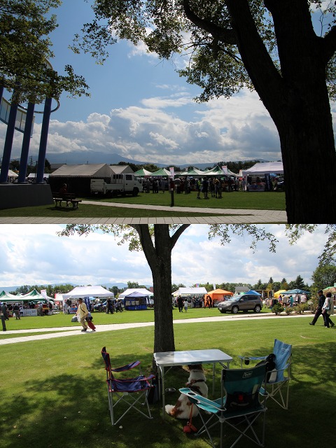 ファイル 124-1.jpg