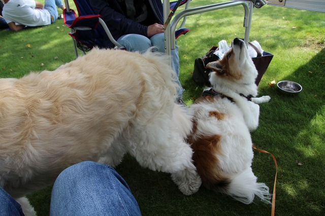 ファイル 124-3.jpg