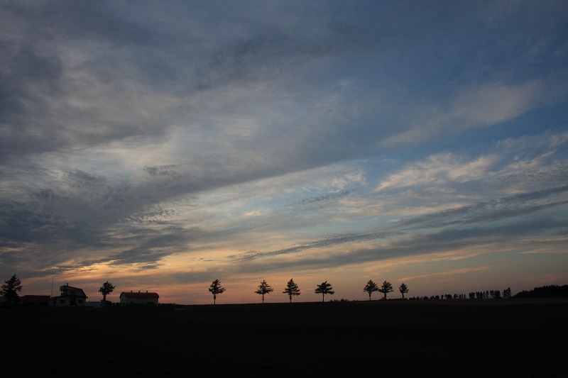 ファイル 126-1.jpg