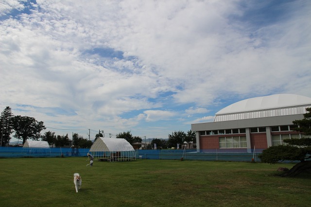 ファイル 128-2.jpg