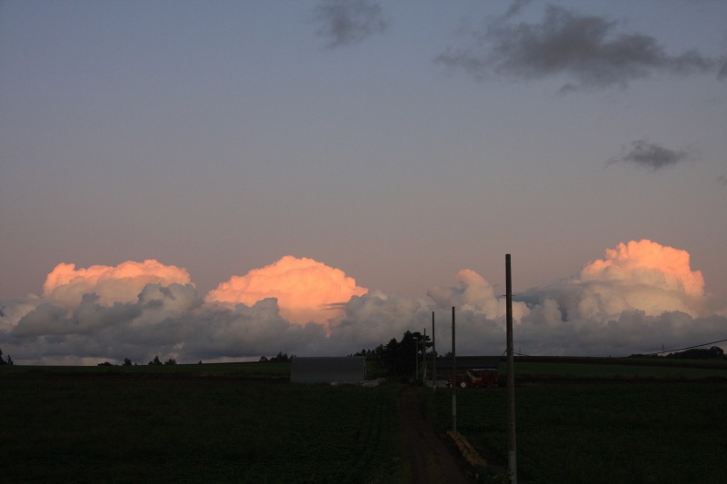 ファイル 129-6.jpg