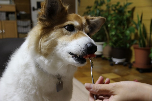 ファイル 129-9.jpg