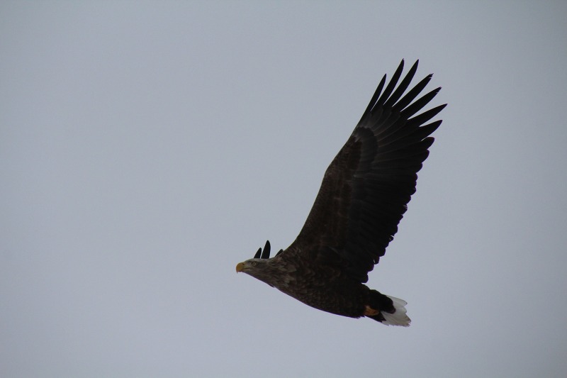 ファイル 13-2.jpg