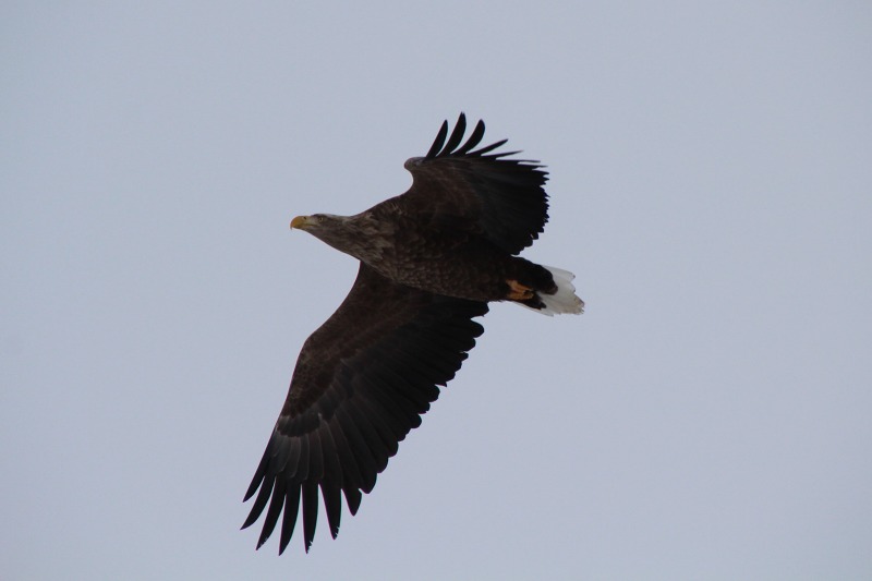 ファイル 13-3.jpg