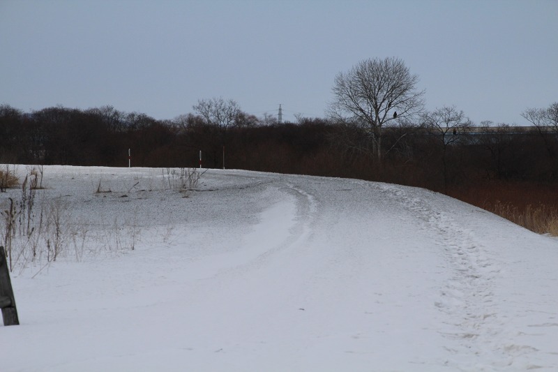 ファイル 13-6.jpg