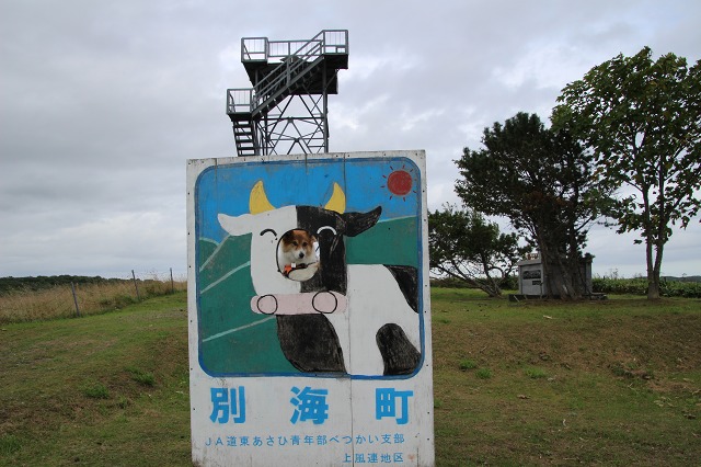 ファイル 131-1.jpg