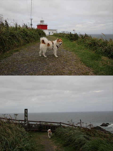 ファイル 132-1.jpg