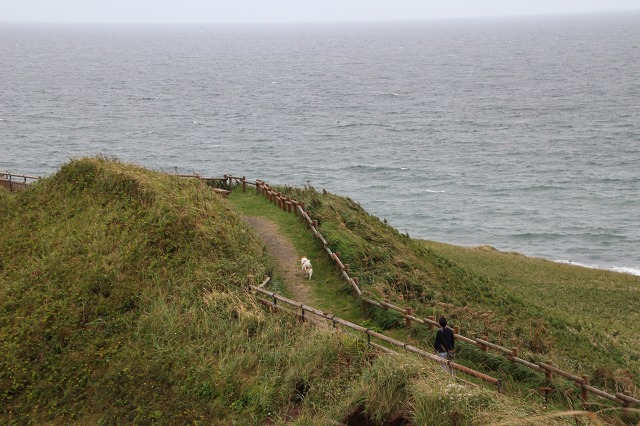 ファイル 132-2.jpg