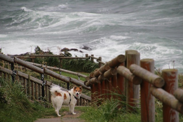 ファイル 132-4.jpg