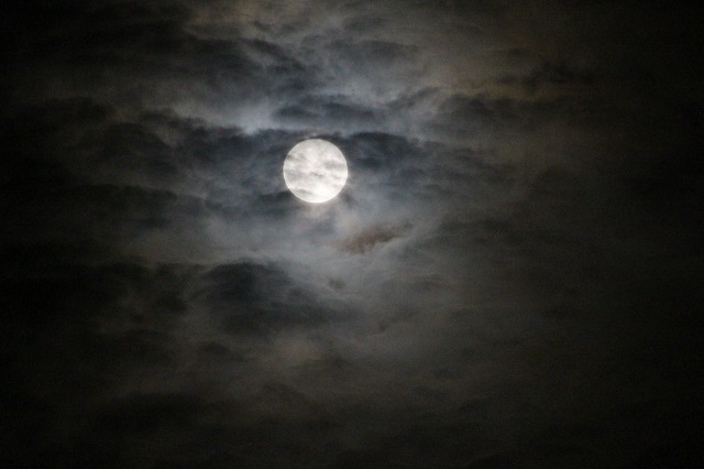 ファイル 132-9.jpg