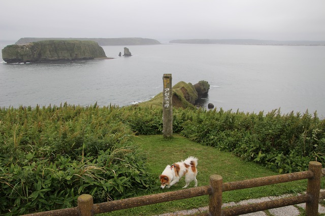 ファイル 133-2.jpg