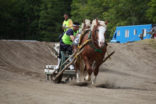 ファイル 134-7.jpg