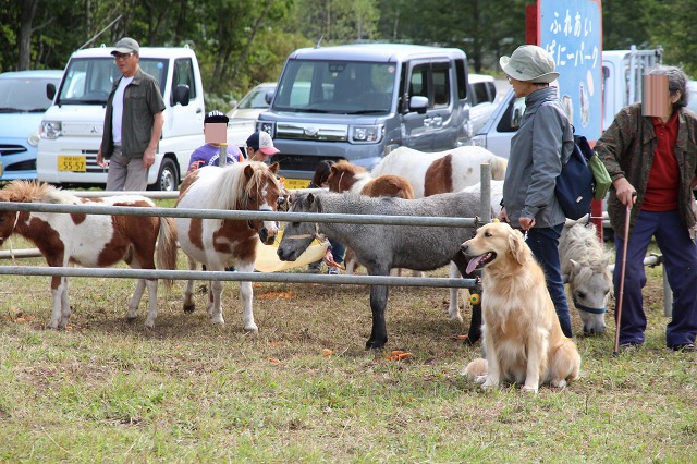 ファイル 135-2.jpg