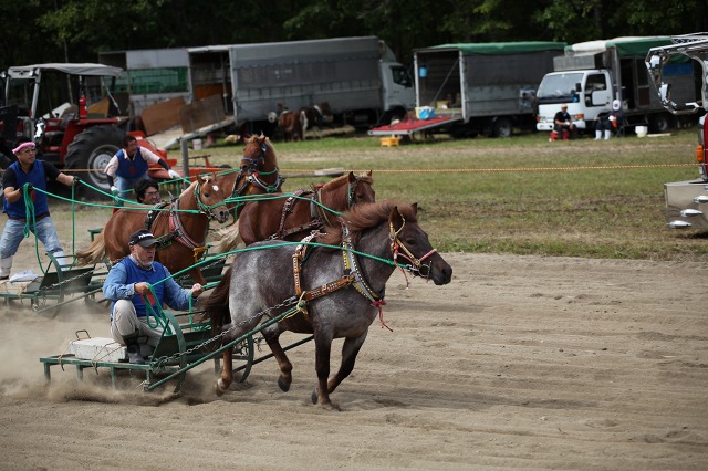 ファイル 135-4.jpg