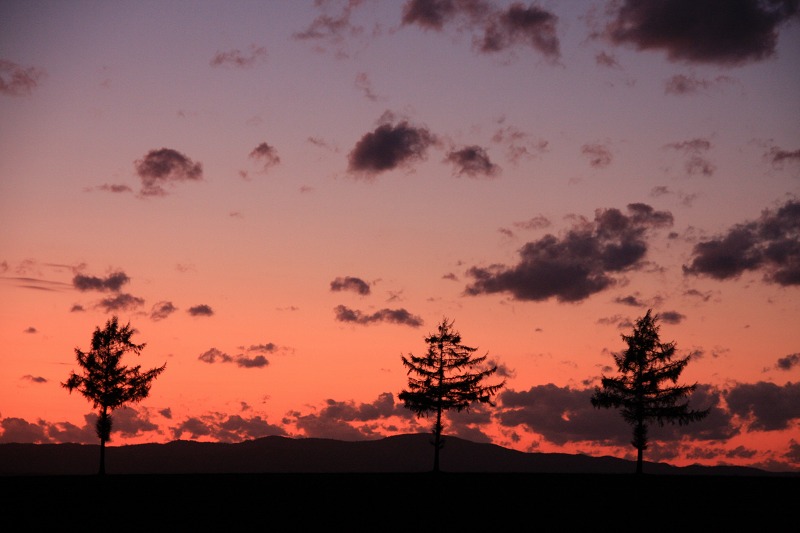 ファイル 136-3.jpg