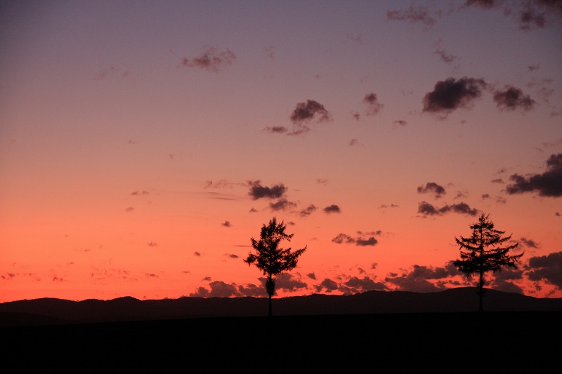 ファイル 136-4.jpg