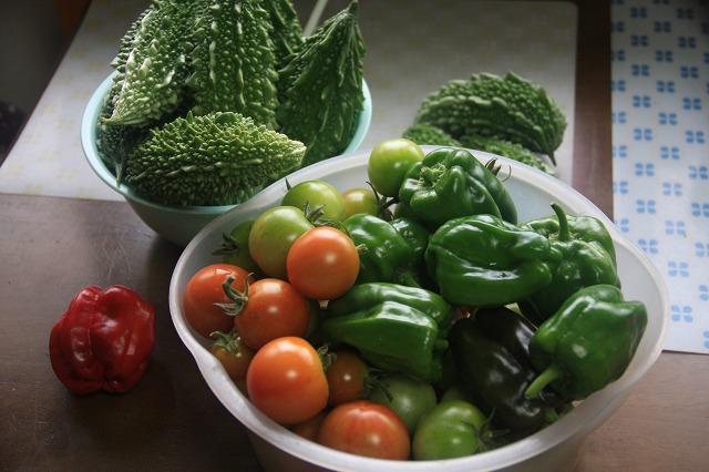 ファイル 136-5.jpg