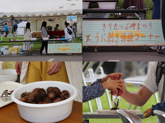 ファイル 137-5.jpg