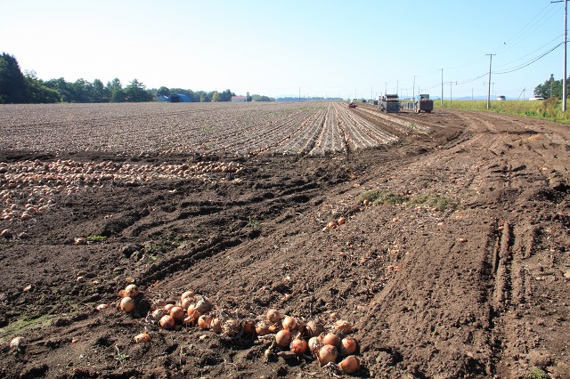 ファイル 138-2.jpg