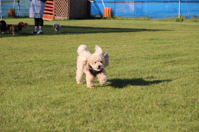 ファイル 138-4.jpg