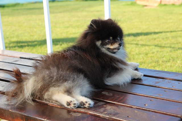 ファイル 138-5.jpg