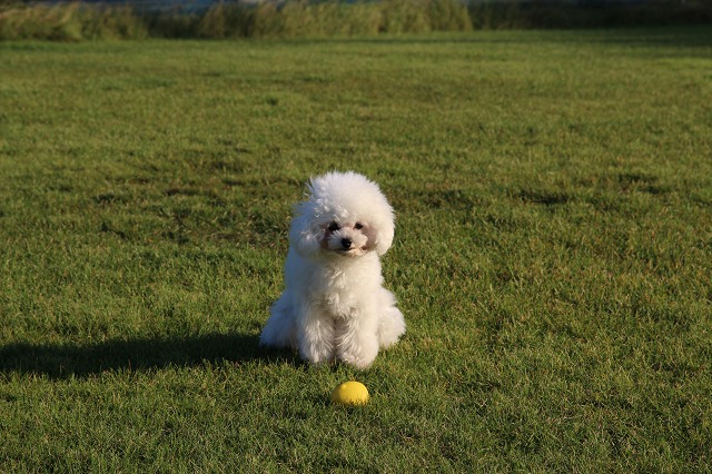 ファイル 138-7.jpg