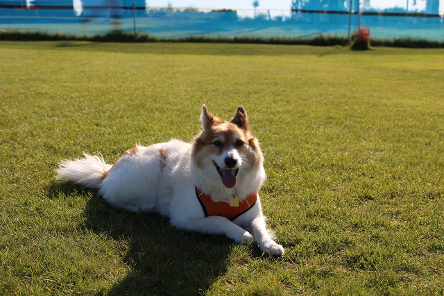 ファイル 138-8.jpg