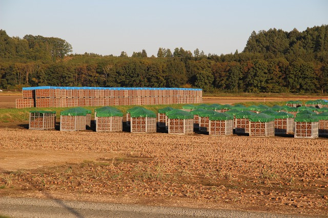 ファイル 139-1.jpg