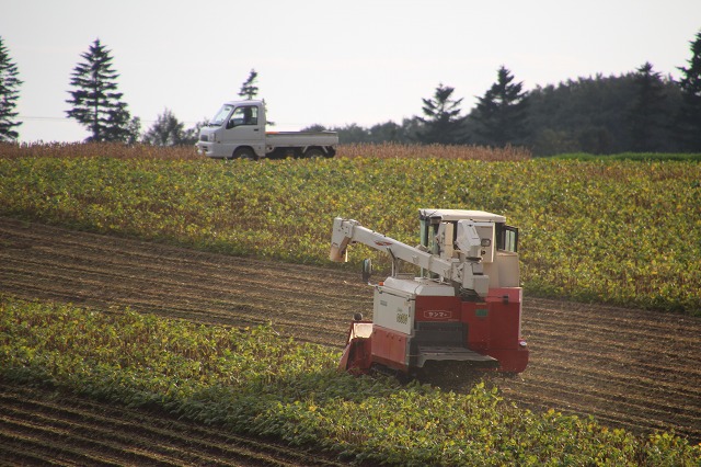 ファイル 139-3.jpg