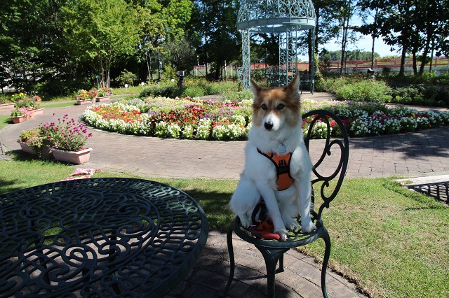 ファイル 140-6.jpg