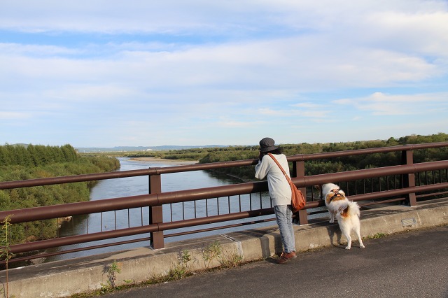 ファイル 141-7.jpg