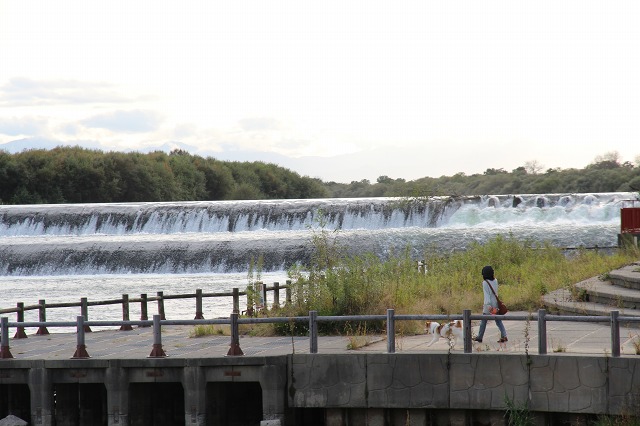 ファイル 141-9.jpg