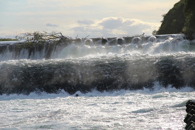 ファイル 142-2.jpg