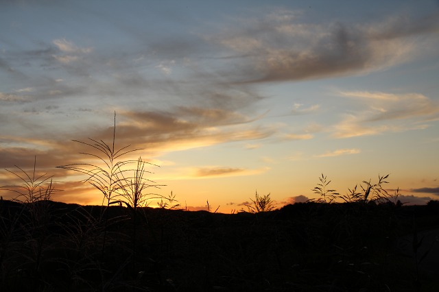 ファイル 142-9.jpg