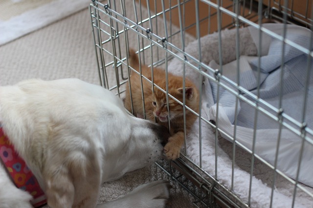 ファイル 144-3.jpg