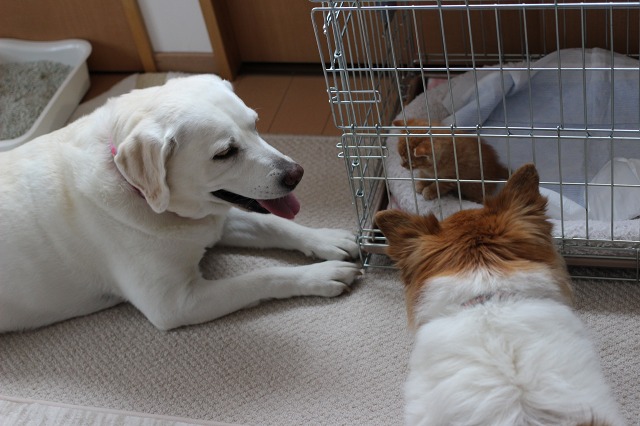 ファイル 144-5.jpg