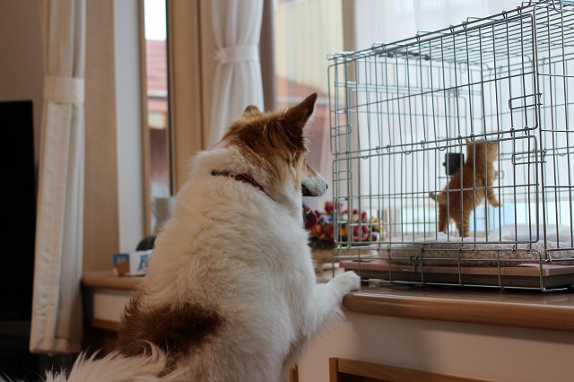 ファイル 144-9.jpg