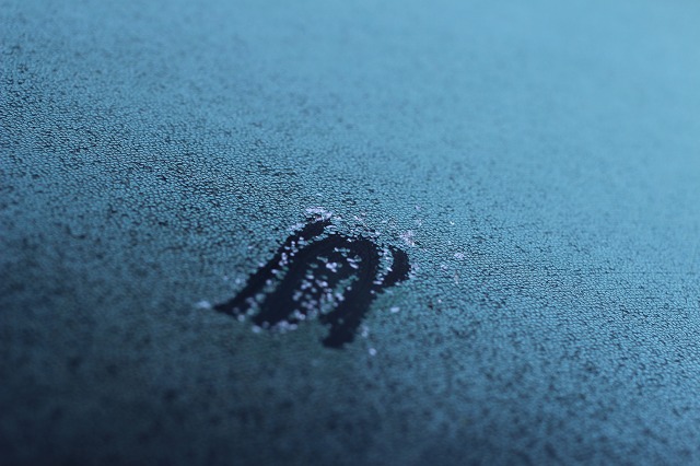 ファイル 145-1.jpg