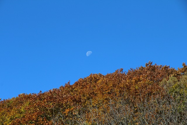 ファイル 147-1.jpg