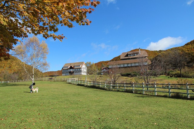 ファイル 147-2.jpg