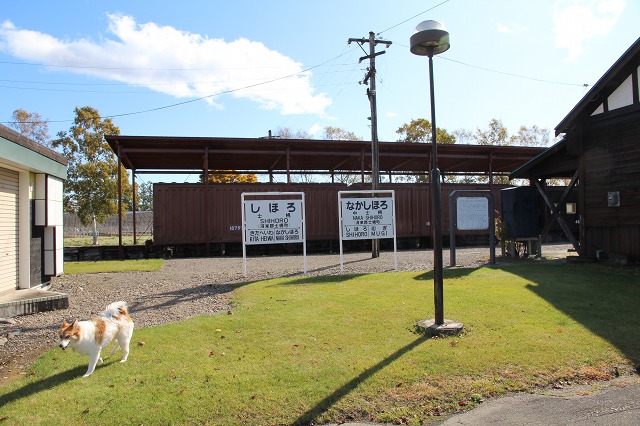 ファイル 147-5.jpg