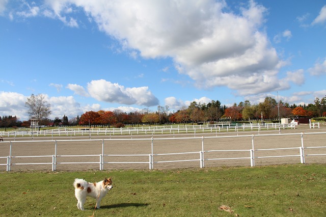 ファイル 147-6.jpg