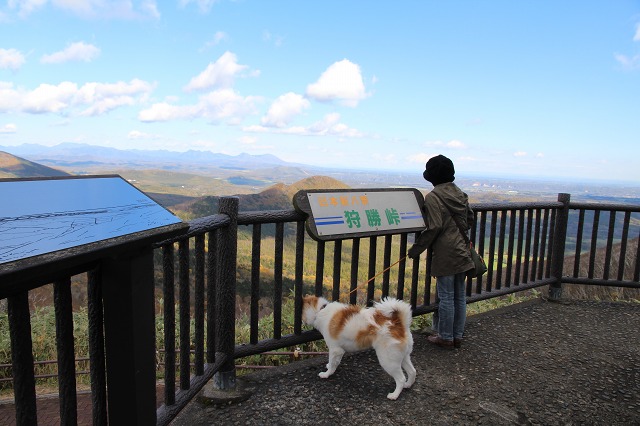 ファイル 148-4.jpg